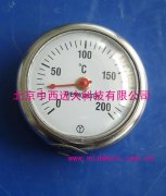 地面温度计国产型号:FSS89-Z20库号:M381901
